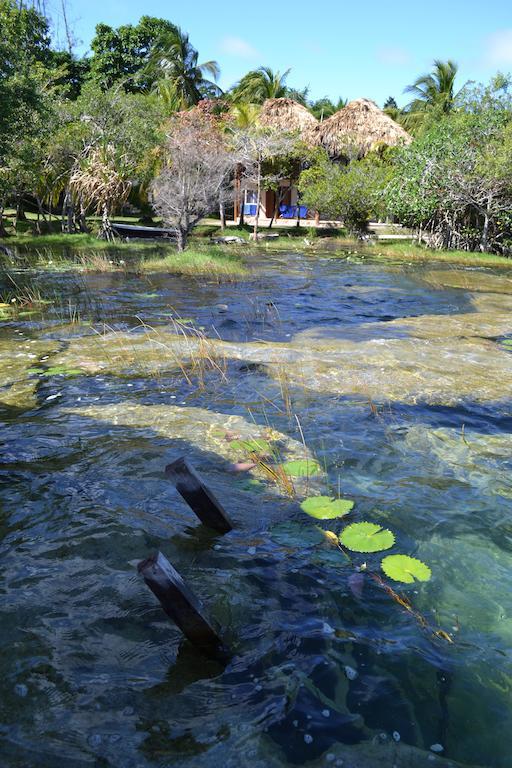 Casa Caracol Hotel Bacalar Exterior photo