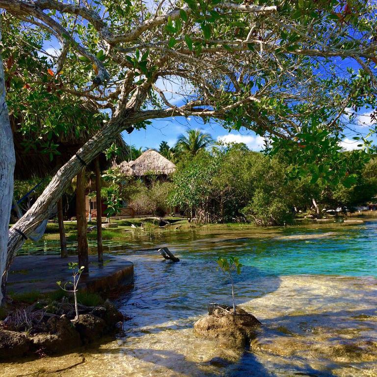 Casa Caracol Hotel Bacalar Exterior photo