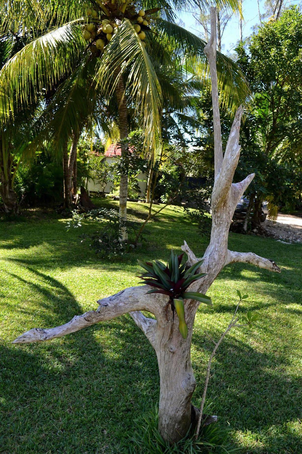 Casa Caracol Hotel Bacalar Exterior photo